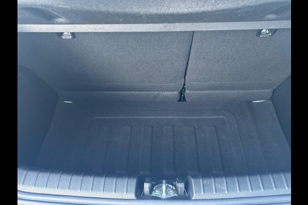 Kia Picanto 1.0 DPi DynamicLine 5drs | Apple Carplay / Android auto | Camera achter | 12 maanden BOVAG garantie! |