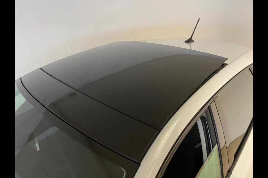 Seat Ibiza 1.0 TSI FR Business Intense PANO ECC 18 inch Velgen