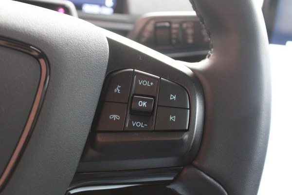 Ford Mustang Mach-E Extended RWD 98 kWh | Panoramadak | Trekhaak | Bang&Olufsen | Elektrische achterklep