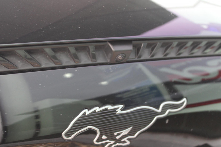 Ford Mustang Mach-E Extended RWD 98 kWh | Panoramadak | Trekhaak | Bang&Olufsen | Elektrische achterklep