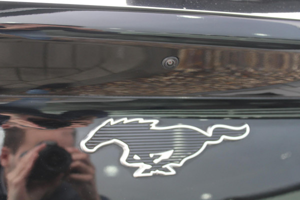 Ford Mustang Mach-E Extended RWD 98 kWh | Panoramadak | Trekhaak | Bang&Olufsen | Elektrische achterklep