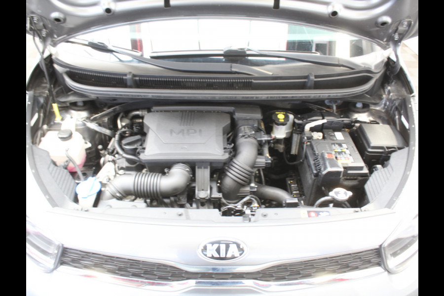 Kia Picanto 1.0 DPi DynamicPlusLine 5p CLIMATE | CARPLAY | CAMERA | LMV15 | NAVI | LED | DAB | CRUISECONTR | PDCA