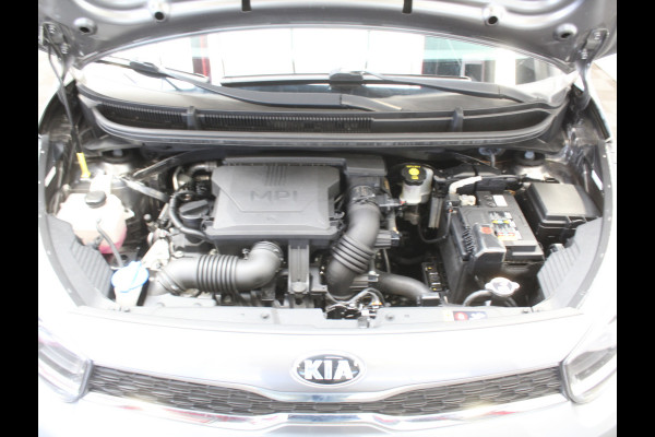 Kia Picanto 1.0 DPi DynamicPlusLine 5p CLIMATE | CARPLAY | CAMERA | LMV15 | NAVI | LED | DAB | CRUISECONTR | PDCA