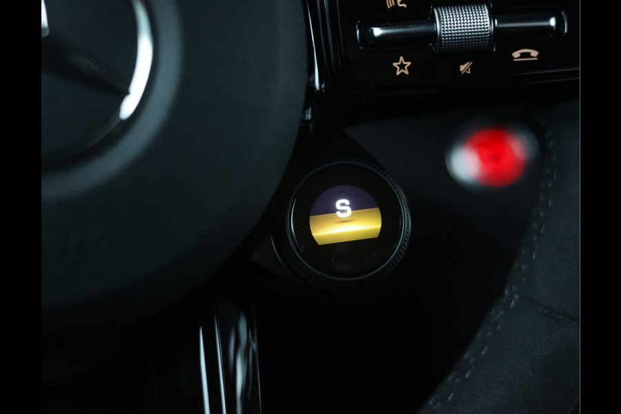 Mercedes-Benz AMG GT 4.0 R Pro | Selenit - Camera