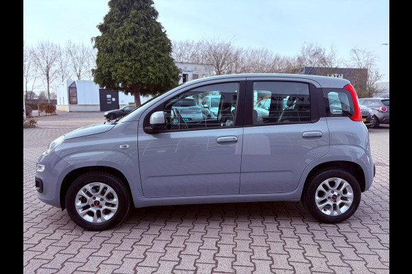 Fiat Panda 1.2 Lounge (RIJKLAARPRIJS/BOVAG)