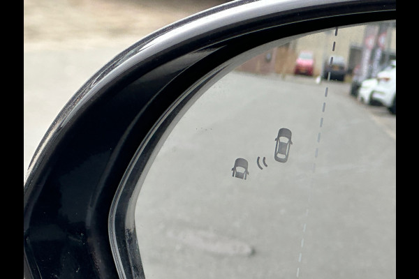 Kia e-Niro ExecutiveLine 64 kWh SOH 100%| SET WINTERBANDEN