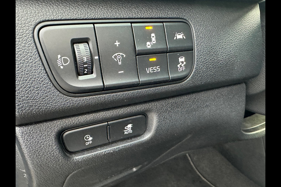 Kia e-Niro ExecutiveLine 64 kWh SOH 100%| SET WINTERBANDEN