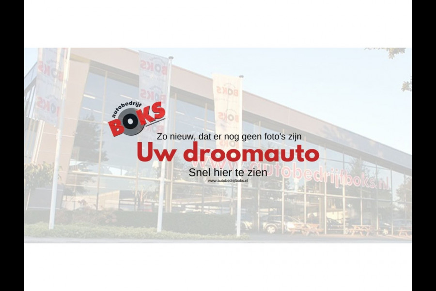 Volkswagen Polo 1.0 TSI Beats PDC Airco 17'' LM Privacy glass