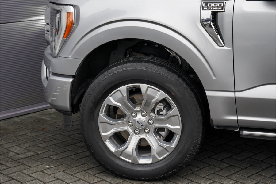 Ford USA F-150 3.5 V6 EcoBoost Platinum CrewCab LPG Pano Hardtop