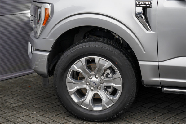 Ford USA F-150 3.5 V6 EcoBoost Platinum CrewCab LPG Pano Hardtop