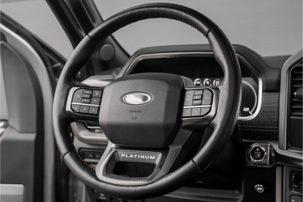 Ford USA F-150 3.5 V6 EcoBoost Platinum CrewCab LPG Pano Hardtop