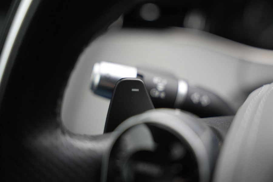 Land Rover Range Rover Evoque 2.0 P200 AWD R-Dynamic S Open Panoramadak Meridian Matrix LED Leer