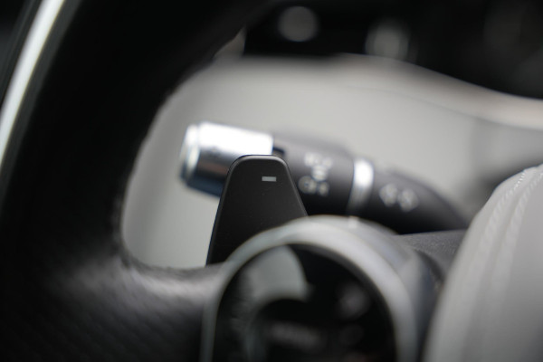 Land Rover Range Rover Evoque 2.0 P200 AWD R-Dynamic S Open Panoramadak Meridian Matrix LED Leer