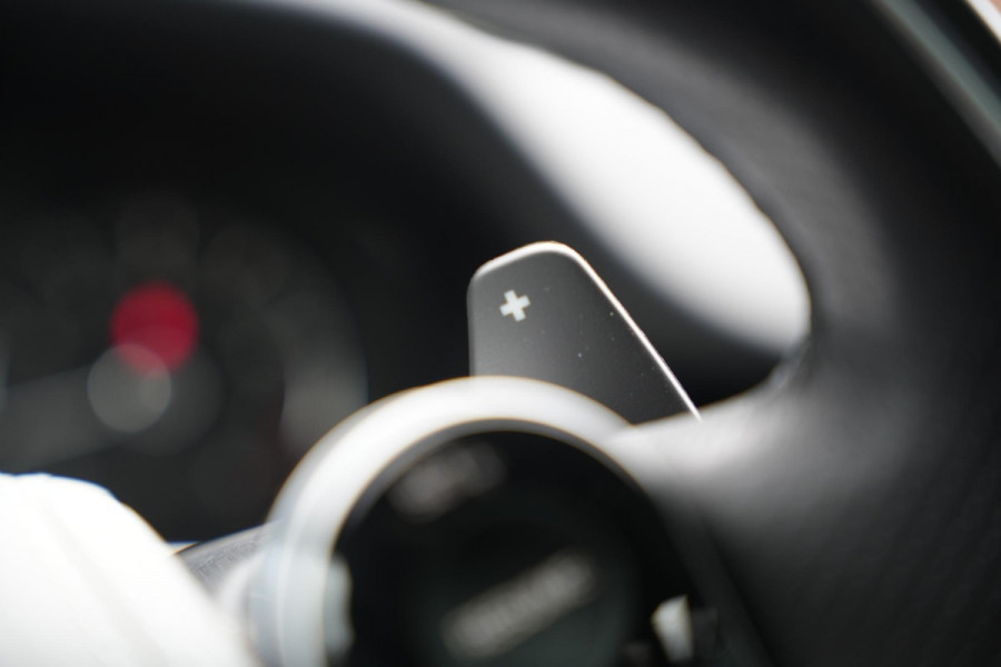 Land Rover Range Rover Evoque 2.0 P200 AWD R-Dynamic S Open Panoramadak Meridian Matrix LED Leer