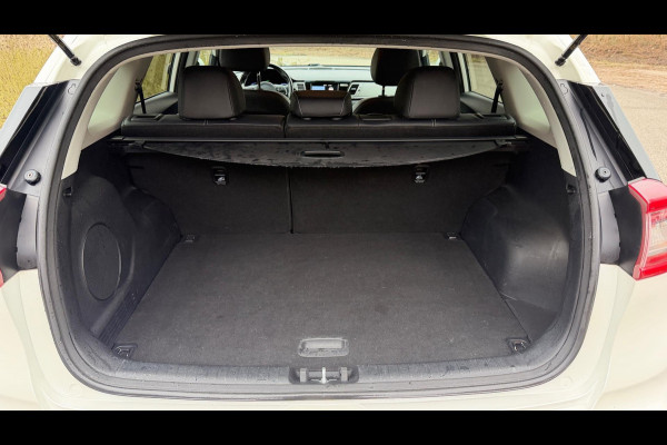 Kia e-Niro ExecutiveLine 64 kWh SOH 100% LEER NAVI CAMERA APPLE CARPLY