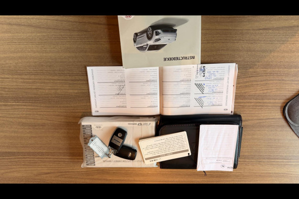 Kia e-Niro ExecutiveLine 64 kWh SOH 100% LEER NAVI CAMERA APPLE CARPLY