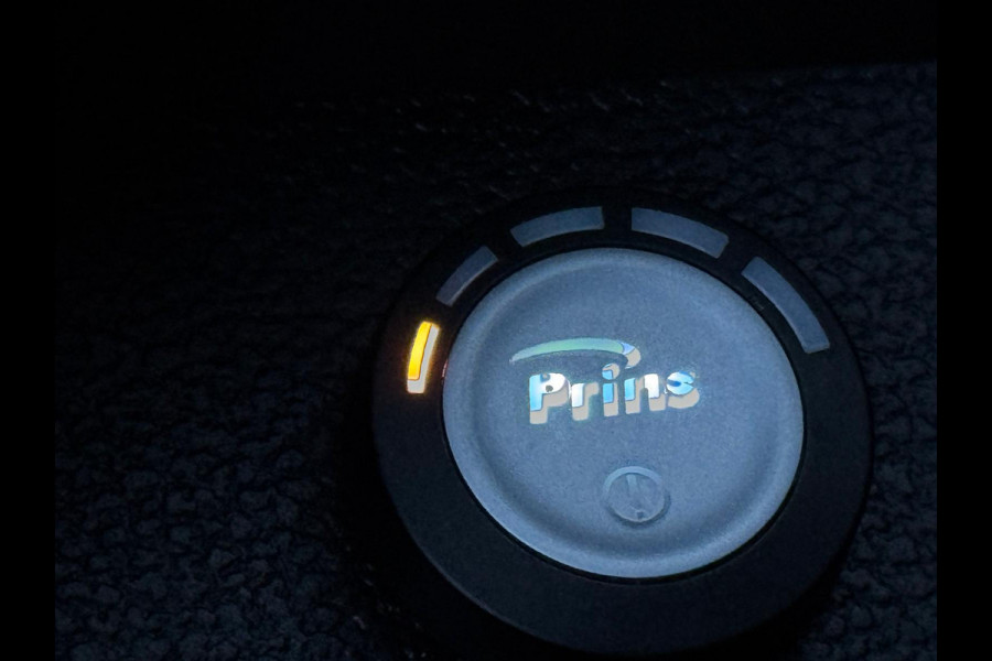 Ford USA F-150 3.5 V6 Ecoboost Raptor Black Pack NL-AUTO