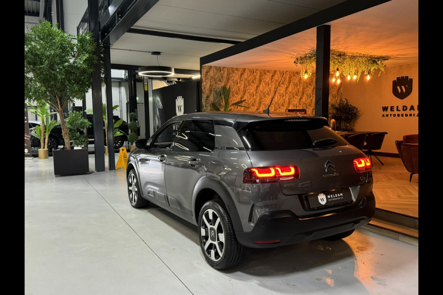 Citroën C4 Cactus 1.2 PureTech Shine Garantie Carplay Camera Keyless Cruise Navi Clima PDC Led Rijklaar
