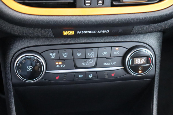 Ford Fiesta 1.0 EcoBoost Active X org.NL B&O ecc navi stuur/stoel/raam verw. dakrail