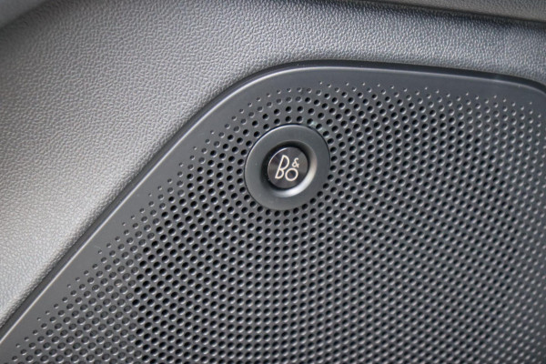 Ford Fiesta 1.0 EcoBoost Active X org.NL B&O ecc navi stuur/stoel/raam verw. dakrail