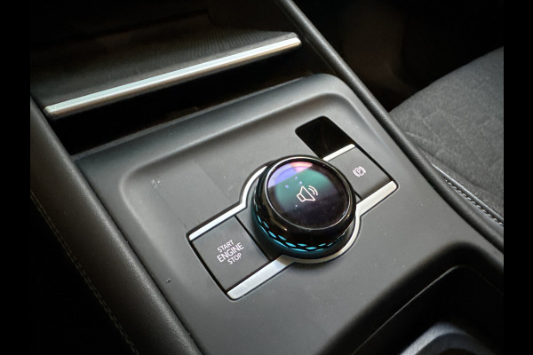 Volkswagen Tayron 1.5 eTSI 150PK DSG LIFE 7-PERSOONS/TREKHAAK/360CAMERA FABRIEKS GARANTIE ***