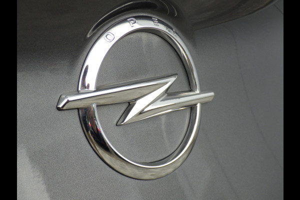 Opel Grandland X 1.2 AUT Turbo Innovation, Camera, Cruise, Navi!