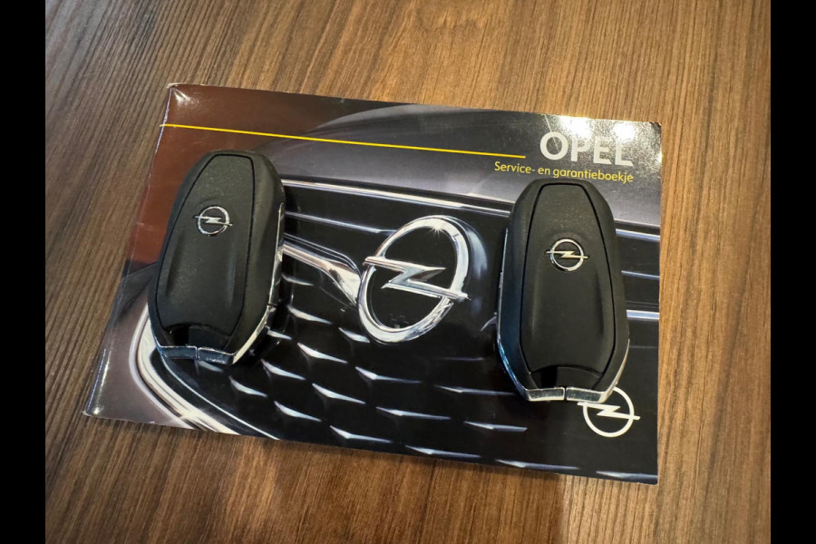 Opel Grandland X 1.2 Turbo Business ExecutivE PANO|DENON AUDI|CAMERA|AMBIENT|ACC|CRUISECONTROL|18 INCH LMV