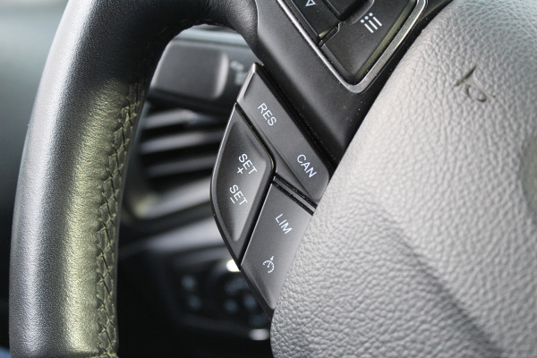 Ford EcoSport 1.0 EcoBoost Titanium | Trekhaak | Camera | Winterpack | B&O | BLIS | NL Auto