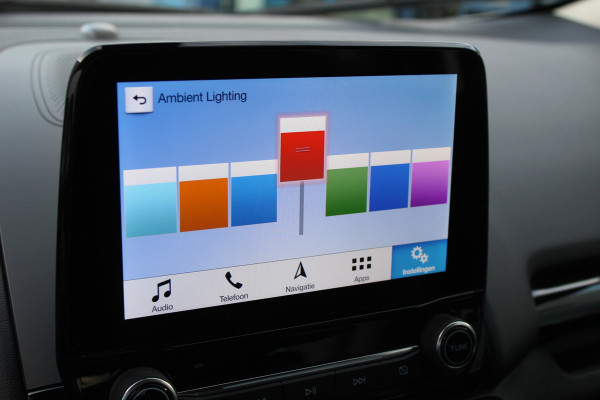 Ford EcoSport 1.0 EcoBoost Titanium | Trekhaak | Camera | Winterpack | B&O | BLIS | NL Auto