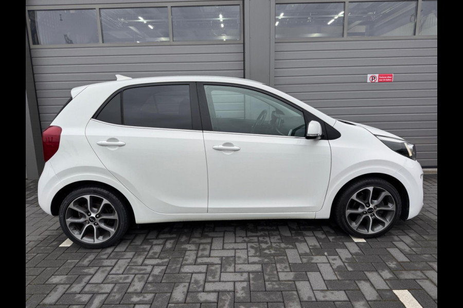 Kia Picanto 1.0 CVVT Design Edition Luxe | CarPlay | Navi | Led | NAP