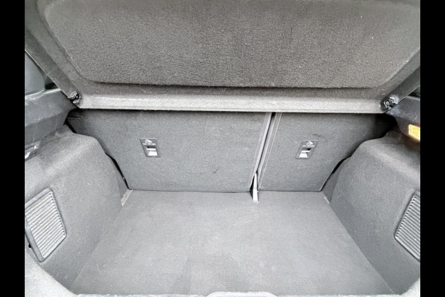 Ford Fiesta 1.0 EcoBoost ST-Line X Panoramadak