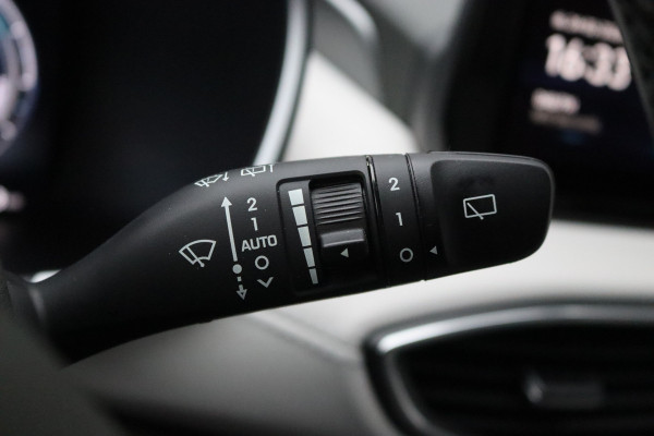 Hyundai Santa Fe 1.6 T-GDI HEV Premium Sky Open-dak/Trekhaak/Winter-pack/Memory-stoel/360-camera