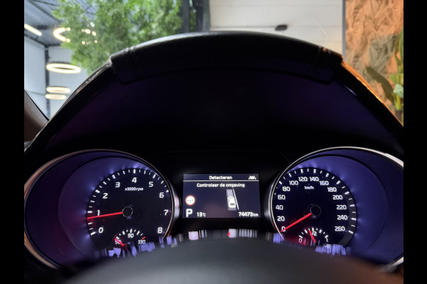 Kia ProCeed 1.6 T-GDi GT 204PK Garantie Trekhaak Pano Memory Carplay Camera JBL Audio StuurVW StoelVW Blindspot ACC Navi Rijklaar