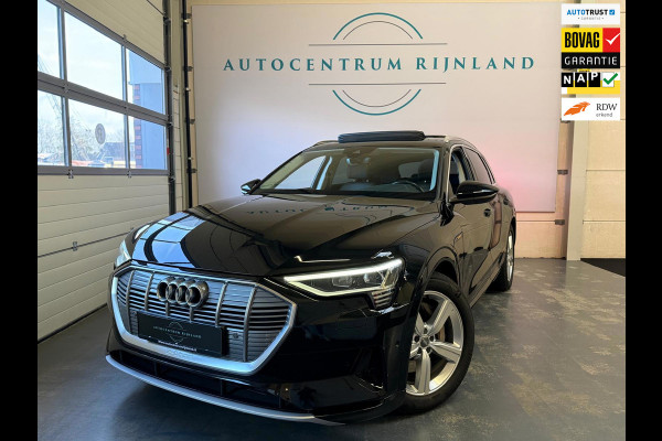 Audi e-tron 50 quattro Launch edition Plus 71 kWh Pano Trekhaak