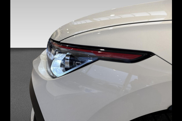 Volkswagen Golf 2.0 TSI GTI Clubsport Pano | IQ Light | Camera | 300 PK