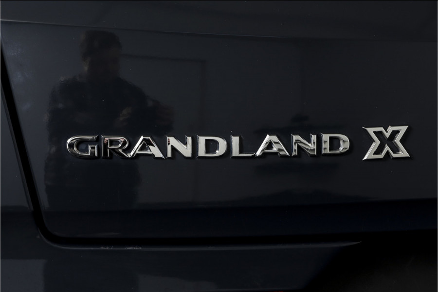 Opel Grandland X 1.2 Turbo 130 PK Business Executive Orig. NL | Cruise | Winterpakket | PDC | NAV + App. Connect | ECC | DAB | Elek, Klep | LM 19" |