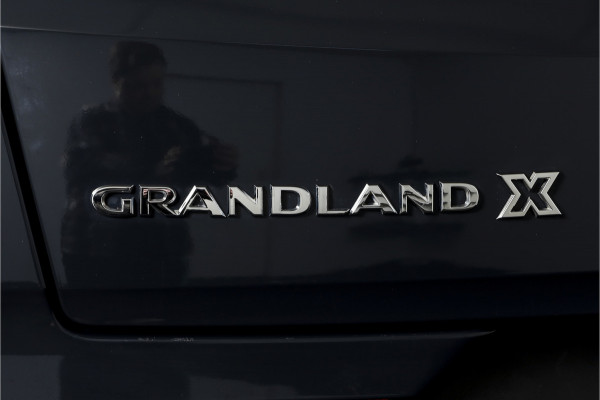 Opel Grandland X 1.2 Turbo 130 PK Business Executive Orig. NL | Cruise | Winterpakket | PDC | NAV + App. Connect | ECC | DAB | Elek, Klep | LM 19" |