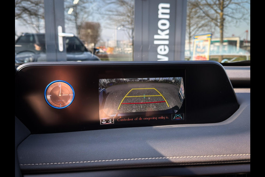 Lexus UX 250h Business Line|Stoel/stuurverwarming|Camera