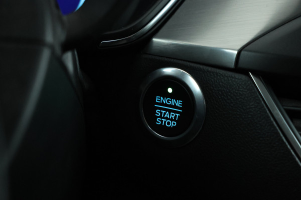 Ford FOCUS Wagon 2.0 EcoBlue ST Line Business 150Pk!, Titanium, Trekhaak, navigatie, Lmv,