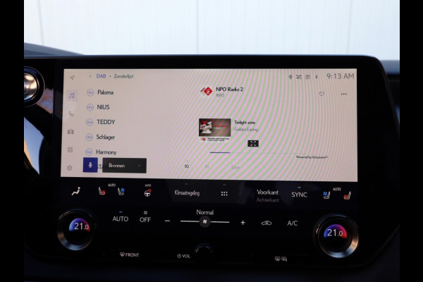 Lexus RX 450h+ President Line | Panoramadak | Mark Levinson | Park-Assist