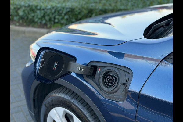 BMW X1 XDrive25e AUTOMAAT Executive, electrisch bedienbare achterklep,dab,stoelverwarming, led verlichting