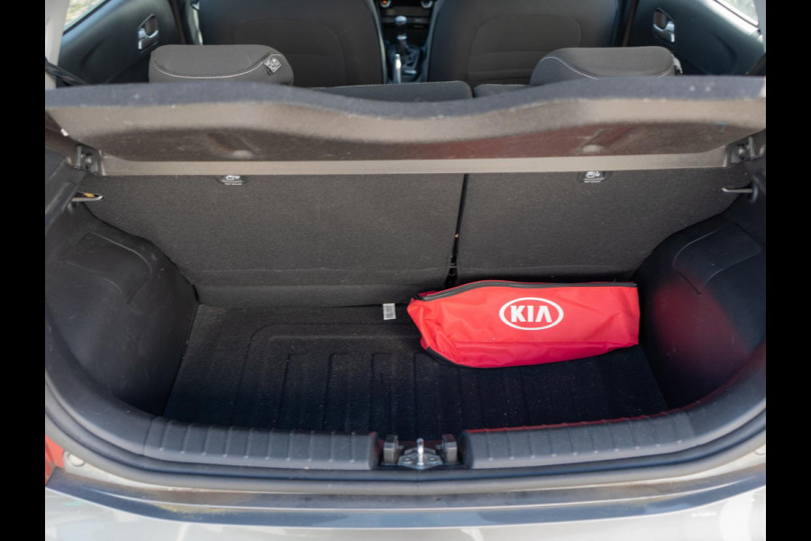 Kia Picanto 1.0 DPi DynamicLine | Android/Apple carplay | Achteruitrijcamera |