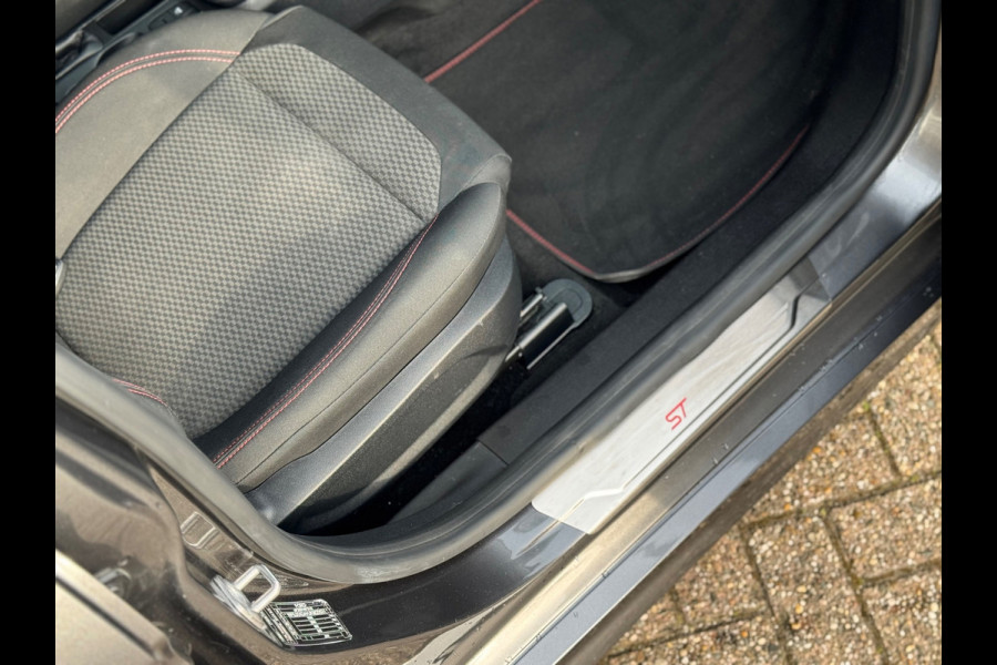 Ford Fiesta 1.0 EcoBoost ST-Line 2020 GRIJS NAVI CLIMA NAP!