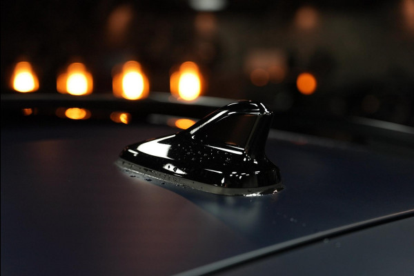 CUPRA Formentor VZ 2.0 TSI QUATTRO|PANO|LEDER|FULL