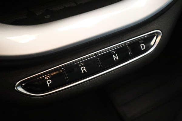 Fiat 500 Icon 42 kWh Navigatie Panoramadak PDC