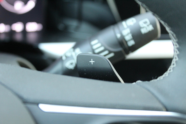 Opel Grandland 1.6 Turbo Plug-In Hybrid GS | Adaptieve cruise | Navigatie | Winterpack | AGR |