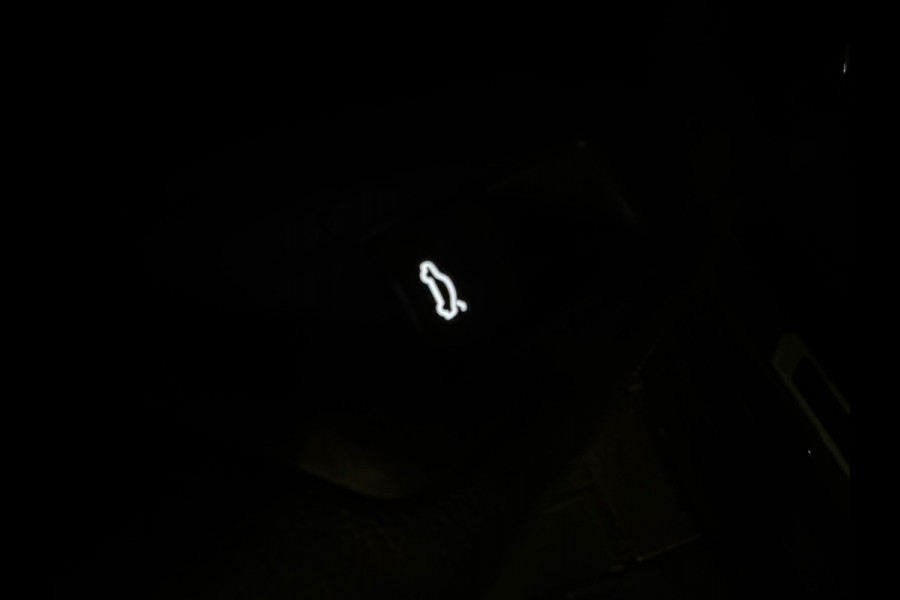 Volkswagen T-Roc 1.5 TSI R-Line Business+ Pano|IQ|Keyles|Cam