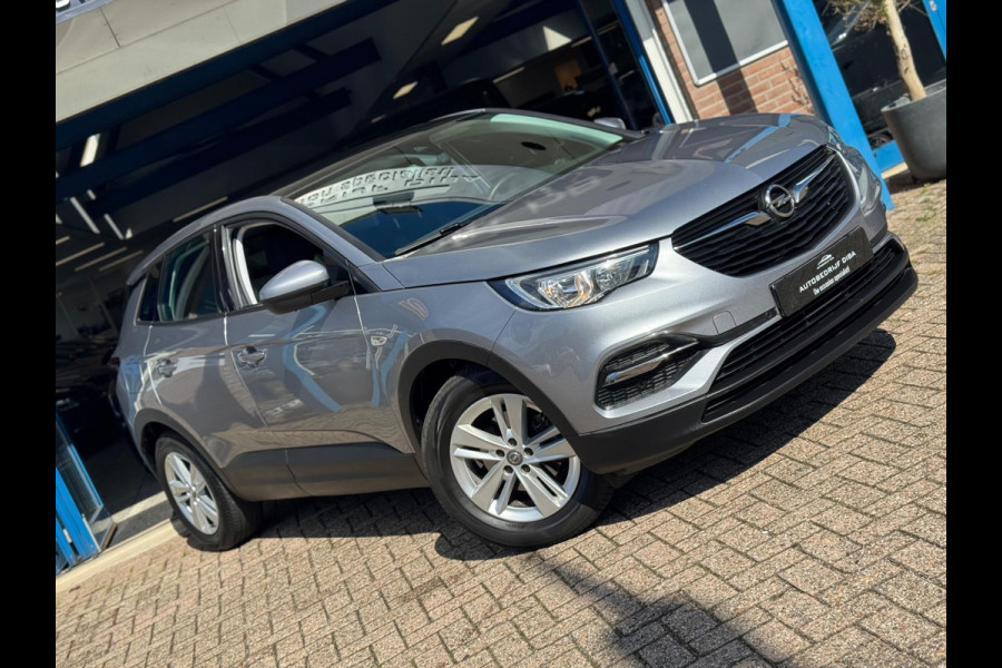 Opel Grandland X 1.2 Turbo Edition 2019 NAVI CAMREA LM NAP!