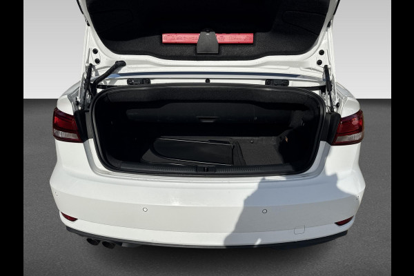 Audi A3 Cabriolet 35 TFSI CoD Pro Line SCHITTERENDE CARBIO!