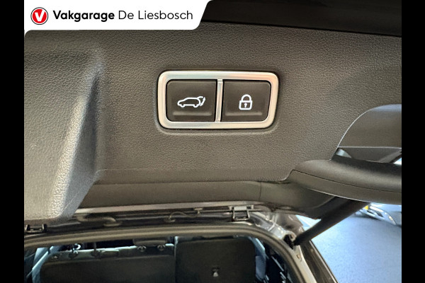 Kia Sorento 1.6 T-GDI Plug-in Hybrid 4WD ExecutiveLine 7persoons / 360 camera / trekhaak / head-up /Bose